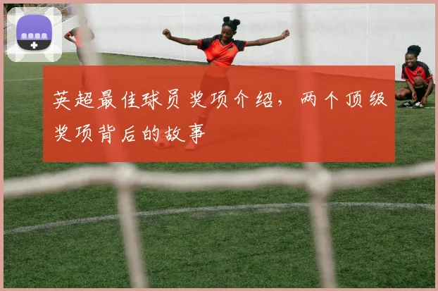 英超最佳球员奖项介绍，两个顶级奖项背后的故事