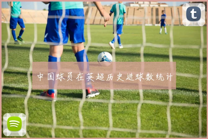 中国球员在英超历史进球数统计